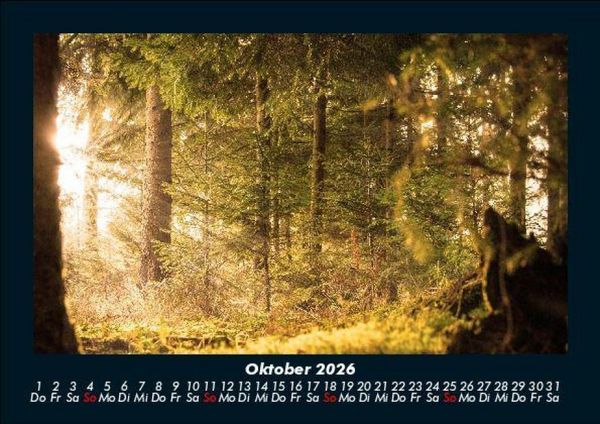 Produktbild: Waldzauber 2026 Fotokalender DIN A5