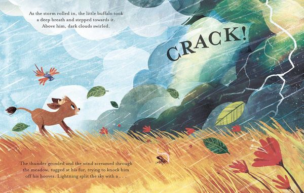 Produktbild: A Buffalo Named Brave