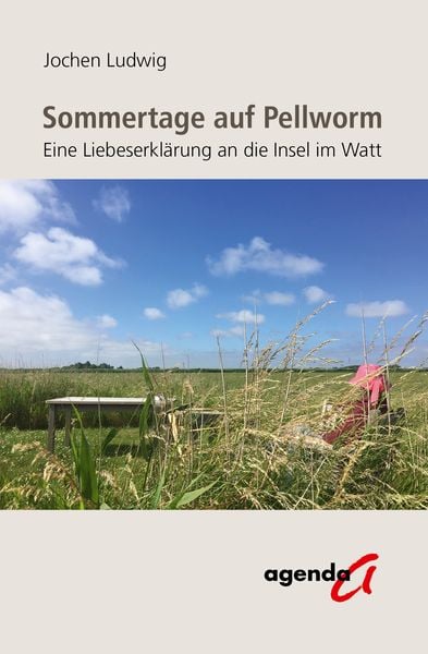 Sommertage auf Pellworm, Taschenbuch von Jochen Ludwig, Agenda Münster, 978-3-89688-677-4