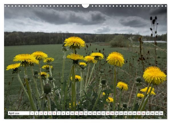 Produktbild: F&uuml;rstenfeldbruck - Streifzug durch Natur und Stadt (Wandkalender 2026 DIN A3 quer), CALVENDO Monatskalender