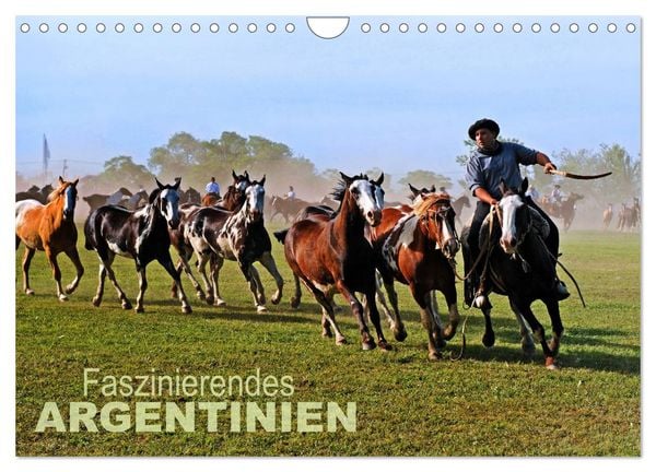 Produktbild: Faszinierendes Argentinien (Wandkalender 2026 DIN A4 quer), CALVENDO Monatskalender