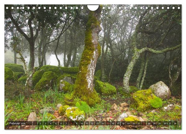 Produktbild: Sardinien Sardigna Sardegna Sardenya 2026 (Wandkalender 2026 DIN A4 quer), CALVENDO Monatskalender