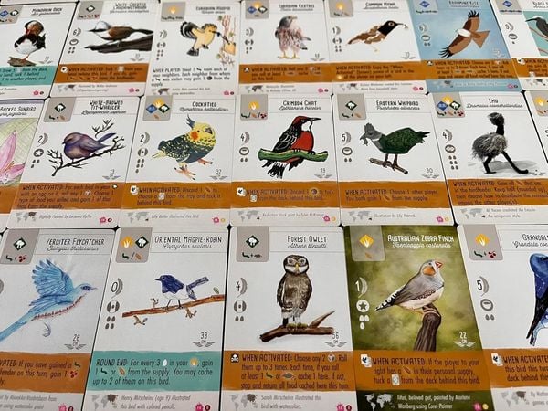 Produktbild: Stonemaier Games - Wingspan - Fan Art Pack (englische Version)