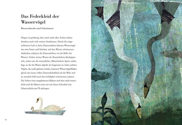 Produktbild: Die Feder