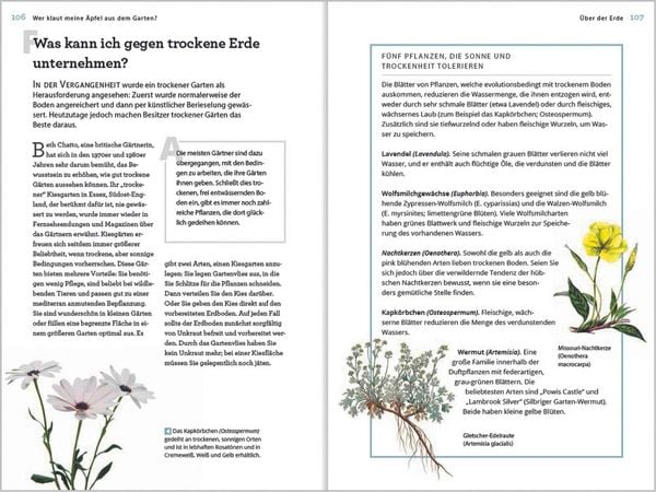 Produktbild: Wer klaut meine &Auml;pfel aus dem Garten