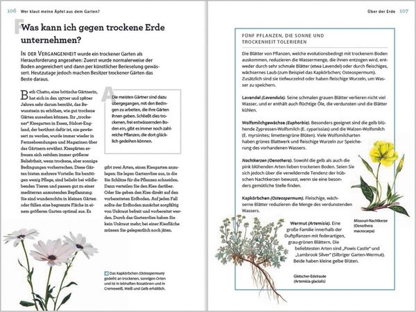 Produktbild: Wer klaut meine &Auml;pfel aus dem Garten
