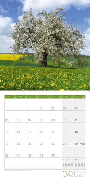 Produktbild: B&auml;ume Kalender 2027 - 30x30 - Art12