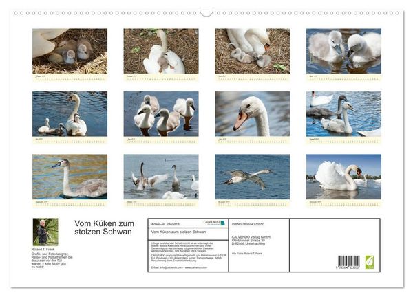 Produktbild: Vom K&uuml;ken zum stolzen Schwan (Wandkalender 2027 DIN A2 quer), CALVENDO Monatskalender