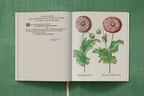 Produktbild: Basilius Besler. The Garden at Eichst&auml;tt