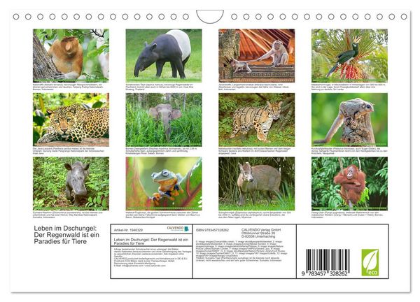Produktbild: Leben im Dschungel: Der Regenwald ist ein Paradies f&uuml;r Tiere (Wandkalender 2026 DIN A4 quer), CALVENDO Monatskalender