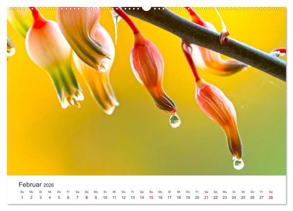 Produktbild: ZEN - Eine Reise zu sich selbst (hochwertiger Premium Wandkalender 2026 DIN A2 quer), Kunstdruck in Hochglanz