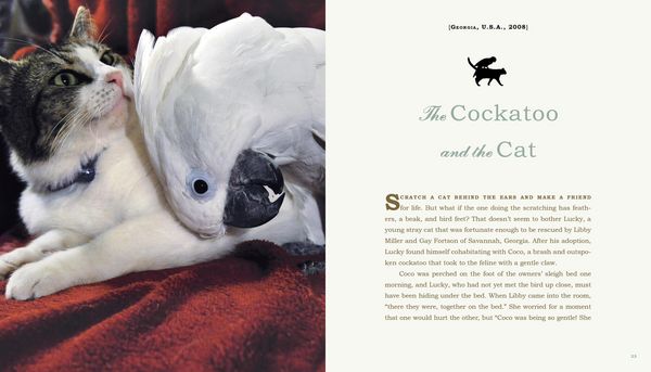 Produktbild: Unlikely Friendships
