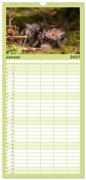 Produktbild: Familienplaner 2027 - Bei den Jungf&uuml;chsen mit 5 Spalten (Wandkalender, 21 x 45 cm) CALVENDO