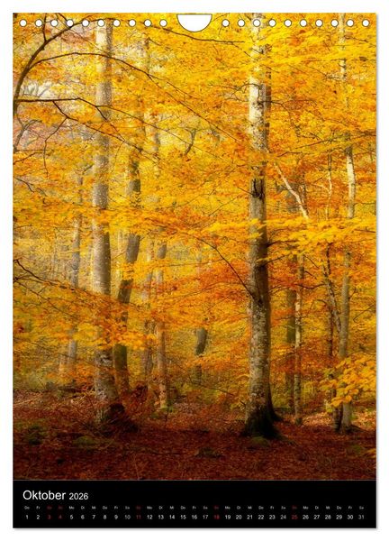 Produktbild: Orte der Ruhe (Wandkalender 2026 DIN A4 hoch), CALVENDO Monatskalender
