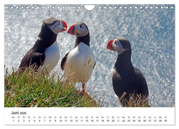 Produktbild: Norwegen 2026 - vom Fjord zum Fjell (Wandkalender 2026 DIN A4 quer), CALVENDO Monatskalender