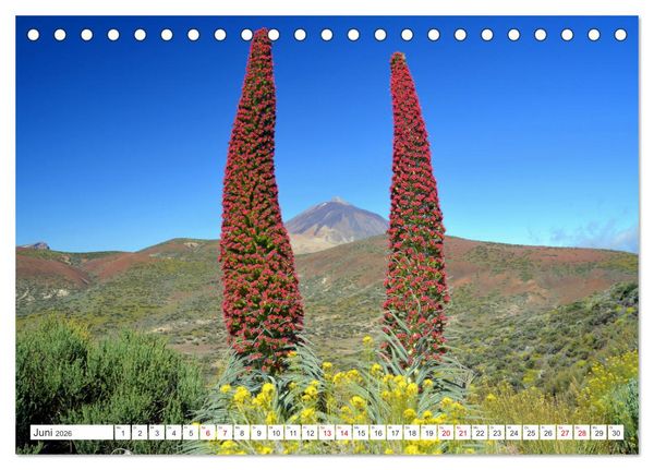 Produktbild: Teneriffa - Insel der Gl&uuml;ckseligen (Tischkalender 2026 DIN A5 quer), CALVENDO Monatskalender