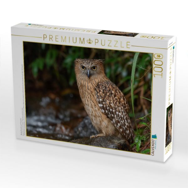 Produktbild: CALVENDO Puzzle Bindenfischuhu am Flussufer | 1000 Teile Lege-Gr&ouml;&szlig;e 64x48cm Foto-Puzzle f&uuml;r gl&uuml;ckliche Stunden