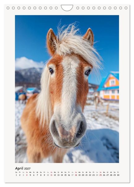 Produktbild: Berge und M&auml;hnen. Haflinger zwischen Alm, Sonne und Freiheit (Wandkalender 2027 DIN A4 hoch), CALVENDO Monatskalender