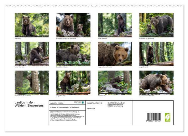 Produktbild: Lautlos in den W&auml;ldern Sloweniens (hochwertiger Premium Wandkalender 2026 DIN A2 quer), Kunstdruck in Hochglanz