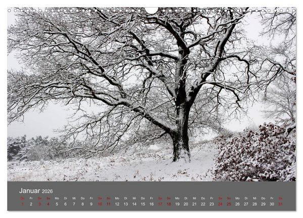 Produktbild: Wahner Heide - Aussichten und Begegnungen (Wandkalender 2026 DIN A3 quer), CALVENDO Monatskalender