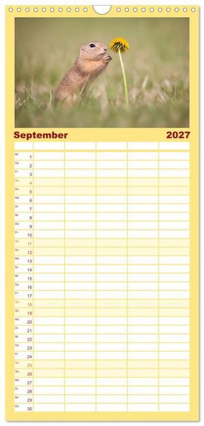 Produktbild: Familienplaner 2027 - Zauberhafte Ziesel mit 5 Spalten (Wandkalender, 21 x 45 cm) CALVENDO