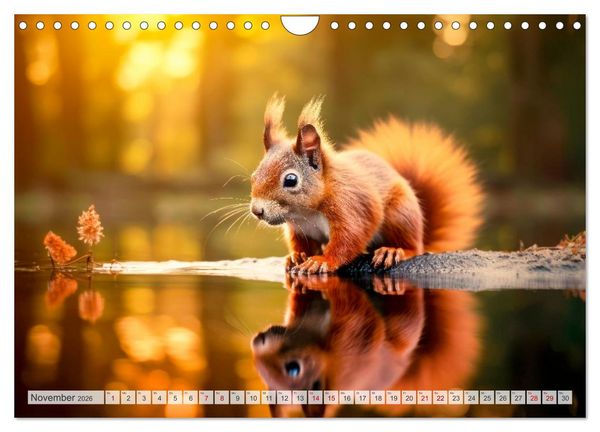 Produktbild: EICHH&Ouml;RNCHEN Niedliche kleine Wesen (Wandkalender 2026 DIN A4 quer), CALVENDO Monatskalender