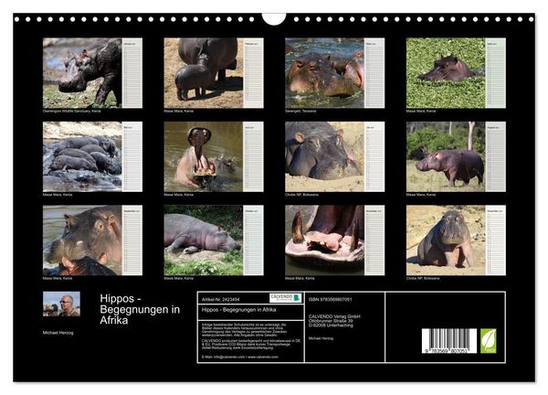 Produktbild: Hippos - Begegnungen in Afrika (Wandkalender 2027 DIN A3 quer), CALVENDO Monatskalender