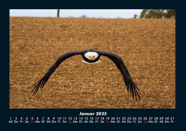 Produktbild: Adler 2025 Fotokalender DIN A4