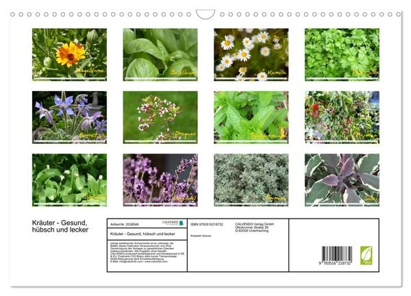 Produktbild: Kr&auml;uter - Gesund, h&uuml;bsch und lecker (Wandkalender 2026 DIN A3 quer), CALVENDO Monatskalender