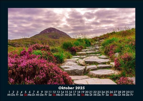 Produktbild: Pflanzen und Bl&uuml;ten 2025 Fotokalender DIN A5
