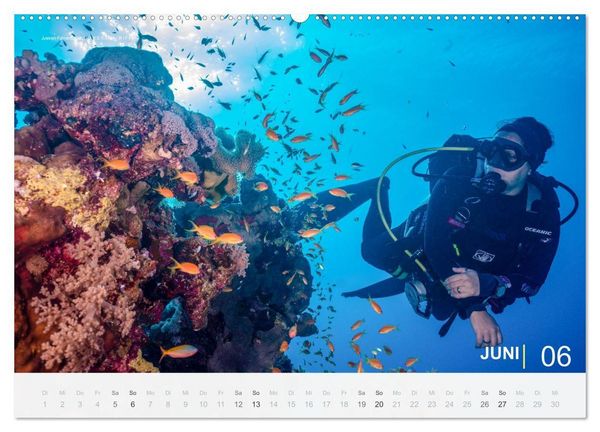Produktbild: Die sch&ouml;nsten Korallenriffe zum Tauchen in &Auml;gypten (Wandkalender 2027 DIN A2 quer), CALVENDO Monatskalender