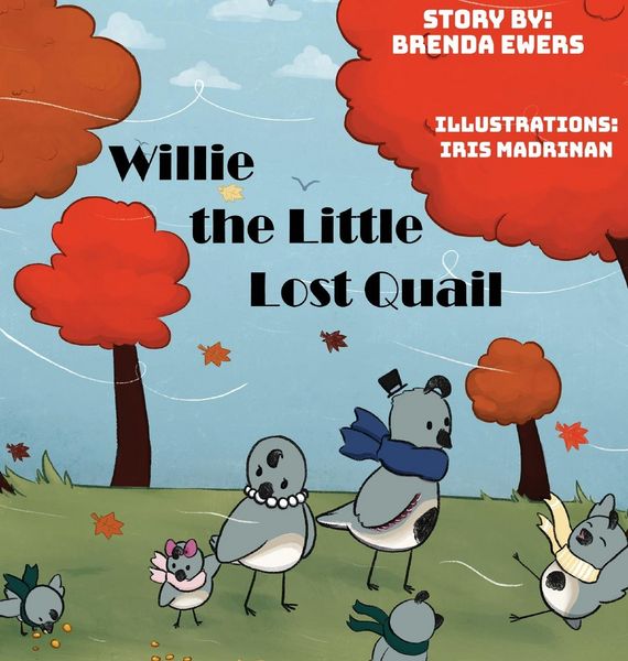 Produktbild: Willie The Little Lost Quail