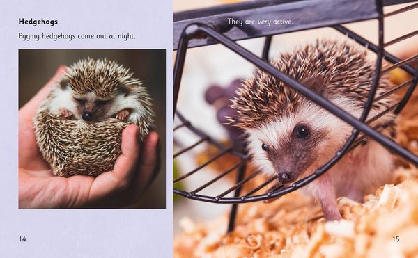 Produktbild: Extraordinary Pets