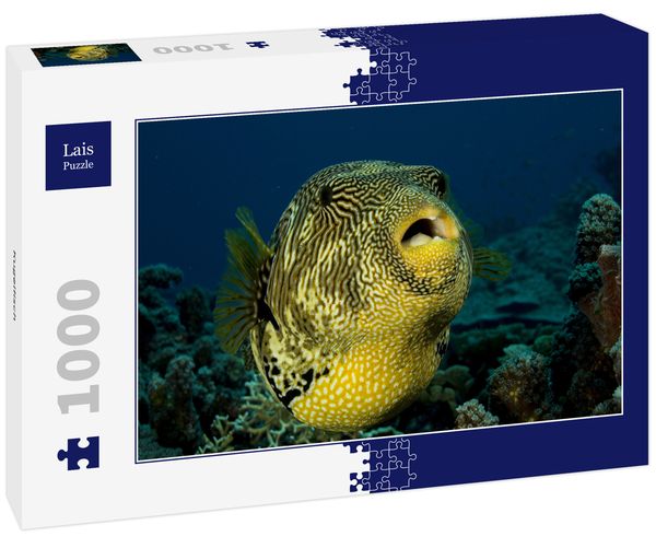 Produktbild: Lais Puzzle Kugelfisch 1000 Teile