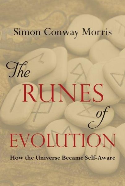 Produktbild: The Runes of Evolution