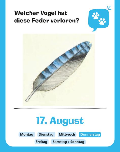 Produktbild: Wieso? Weshalb? Warum? Mein Kalender 2023