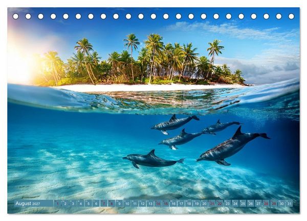 Produktbild: Delfine - tropische Begleiter (Tischkalender 2027 DIN A5 quer), CALVENDO Monatskalender