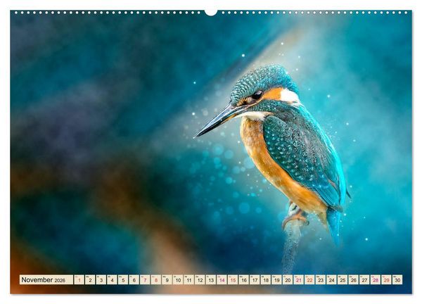 Produktbild: Wundersch&ouml;ner Eisvogel (hochwertiger Premium Wandkalender 2026 DIN A2 quer), Kunstdruck in Hochglanz