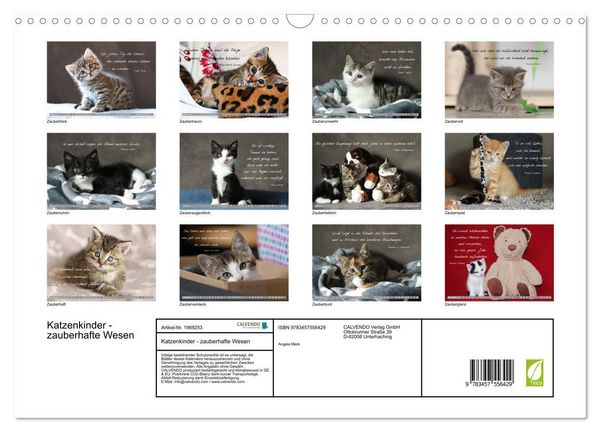 Produktbild: Katzenkinder - zauberhafte Wesen (Wandkalender 2026 DIN A3 quer), CALVENDO Monatskalender