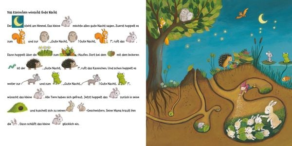 Produktbild: Mein erstes Geschichten-Bilder-Buch: Gute Nacht, Schlafenszeit