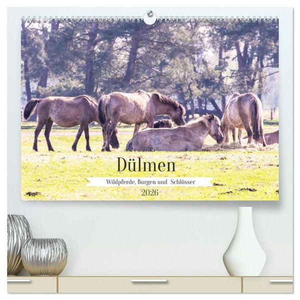 Produktbild: D&uuml;lmen - Wildpferde, Burgen und Schl&ouml;sser (hochwertiger Premium Wandkalender 2026 DIN A2 quer), Kunstdruck in Hochglanz