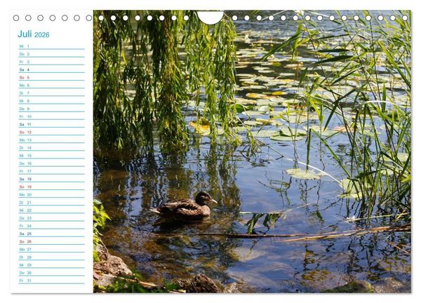 Produktbild: Urlaubsparadies Scharm&uuml;tzelsee (Wandkalender 2026 DIN A4 quer), CALVENDO Monatskalender