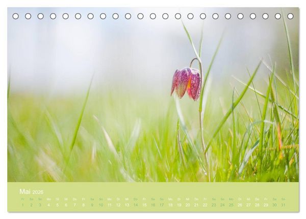 Produktbild: Zeitenwandel - Ein Jahr in der Natur (Tischkalender 2026 DIN A5 quer), CALVENDO Monatskalender