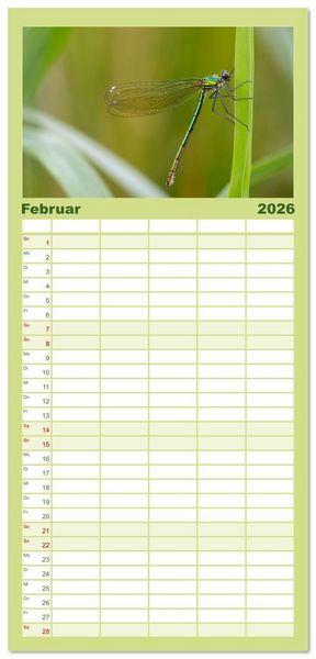 Produktbild: Familienplaner 2026 - Naturwunder Libellen mit 5 Spalten (Wandkalender, 21 x 45 cm) CALVENDO