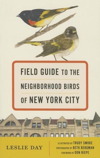 Produktbild: Field Guide to the Neighborhood Birds of New York City