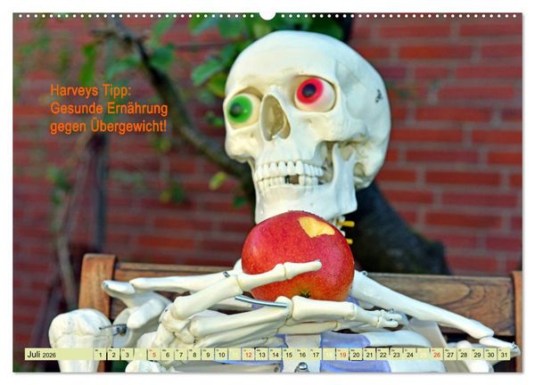 Produktbild: Harvey, der Heilpraktiker (hochwertiger Premium Wandkalender 2026 DIN A2 quer), Kunstdruck in Hochglanz