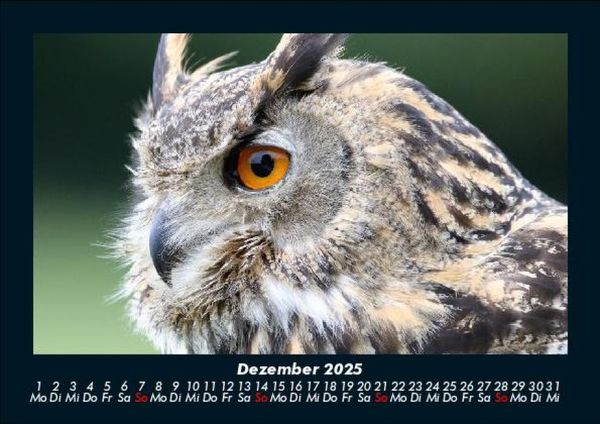 Produktbild: Der Tierkalender 2025 Fotokalender DIN A5