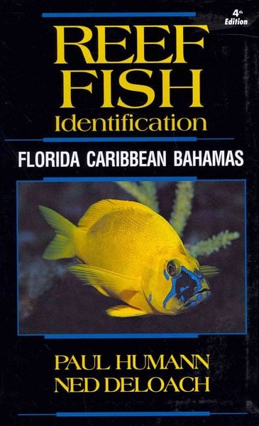 Produktbild: Reef Fish Identification