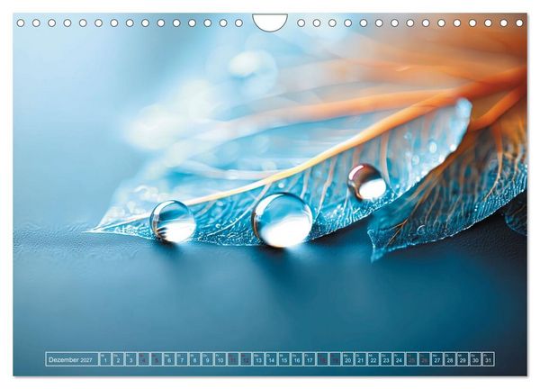 Produktbild: Lichtspiele der Natur (Wandkalender 2027 DIN A4 quer), CALVENDO Monatskalender
