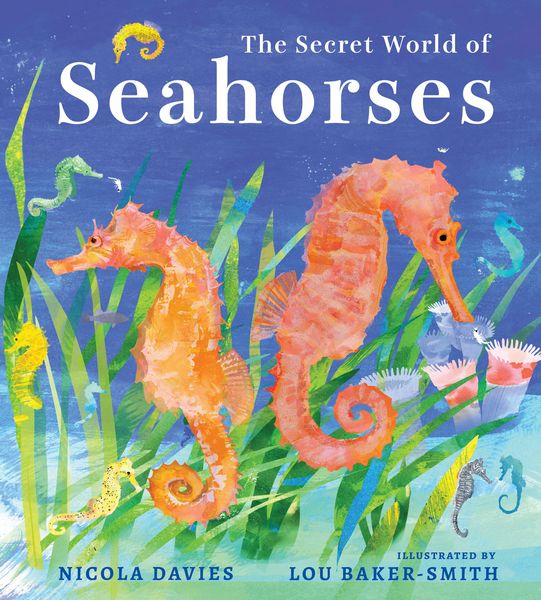 Produktbild: The Secret World of Seahorses
